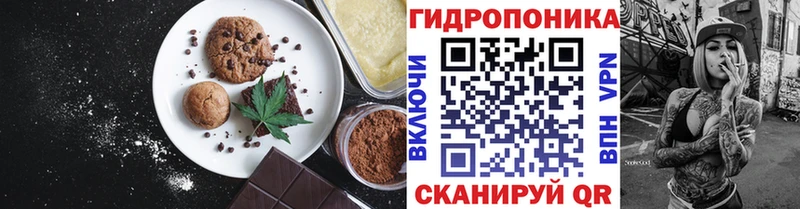 Купить закладки  Северская  Canna-Cookies марихуана 