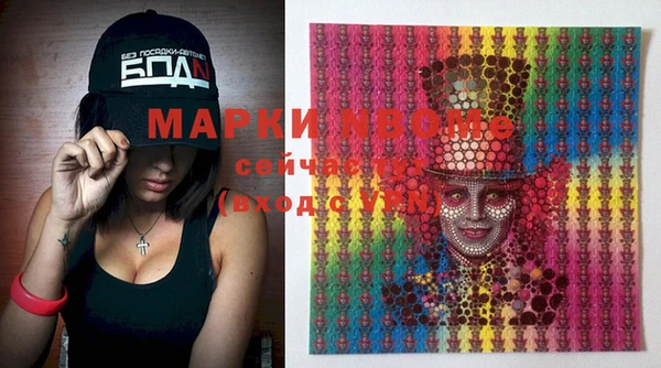 прущие грибы Нефтекумск