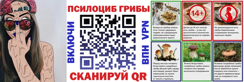 Купить закладки  Северская  Псилоцибиновые грибы Psilocybe 