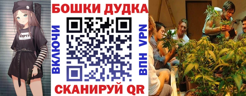 Купить где  Северская  Бошки марихуана MAZAR 