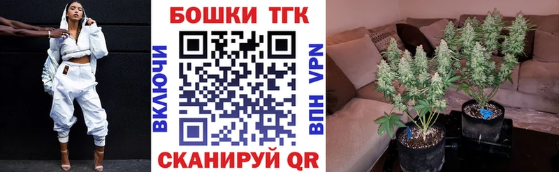 МАРИХУАНА SATIVA & INDICA Северская